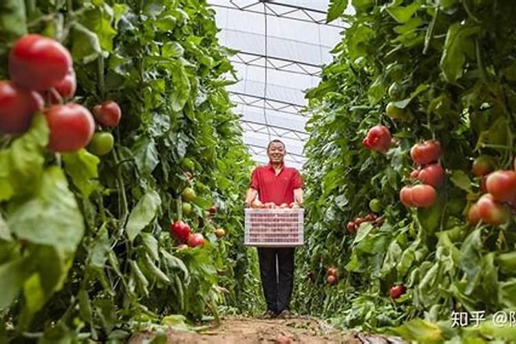 农民种花生什么时候需要追肥