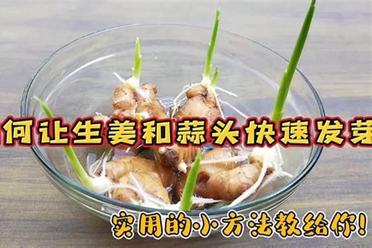 果树生根促根用什么效果最好？