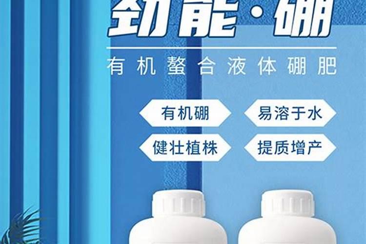 一亩地用多少谷种