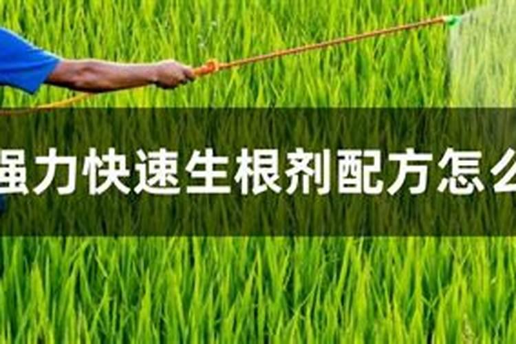 生根肥使用过程中应注意什么