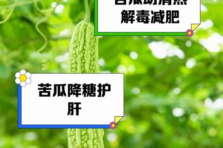 种苦瓜施什么肥高产