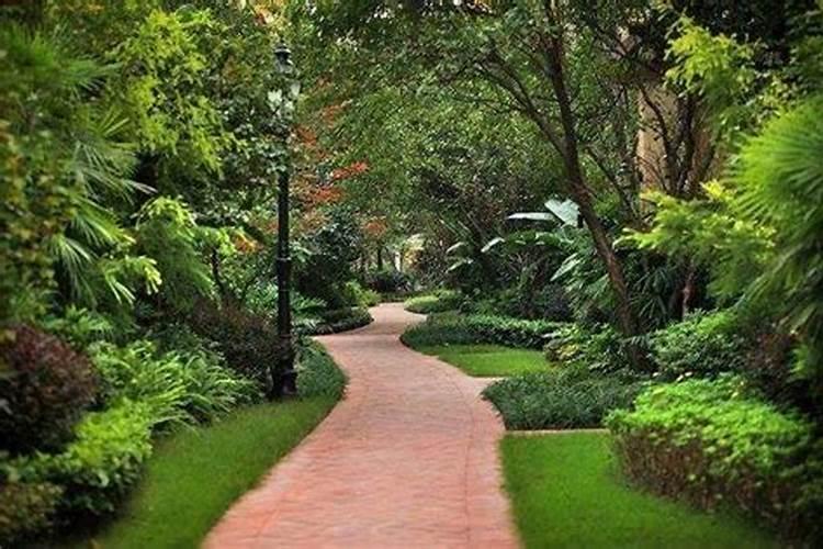 如何对园林植物进行合理施肥？