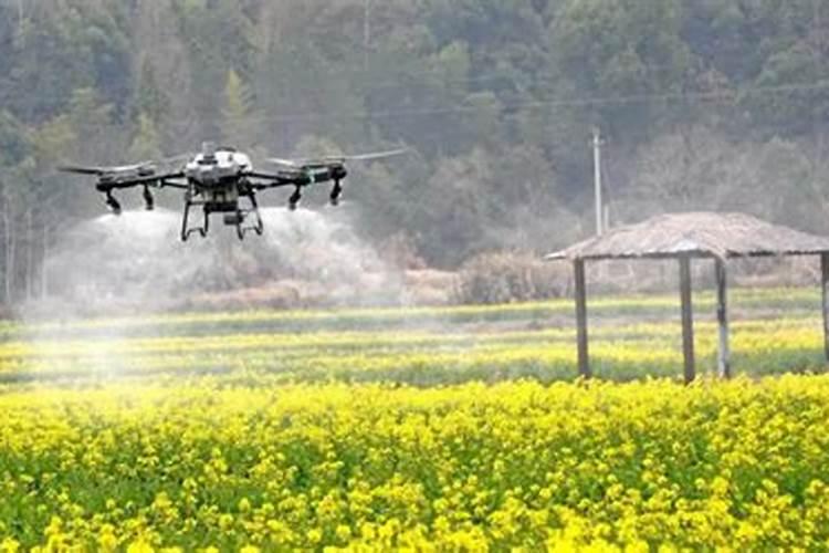 打药和施肥能同时进行吗