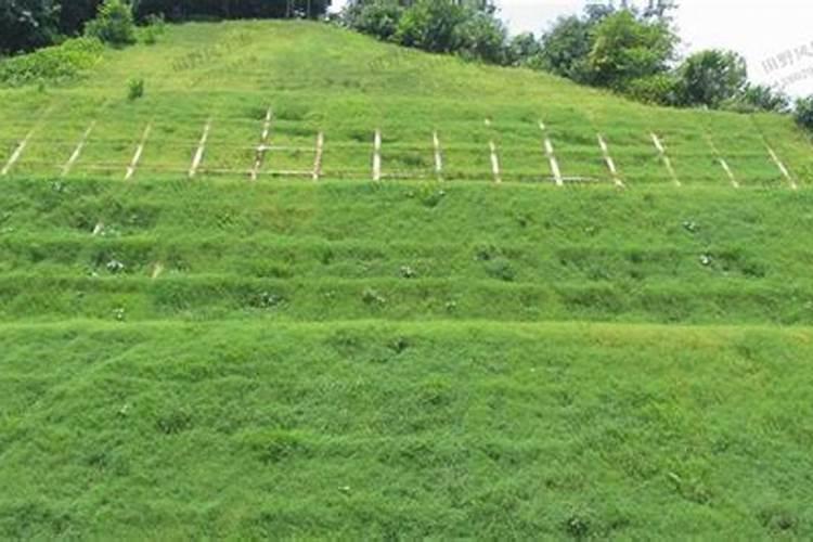 公路边坡绿化复合肥用量