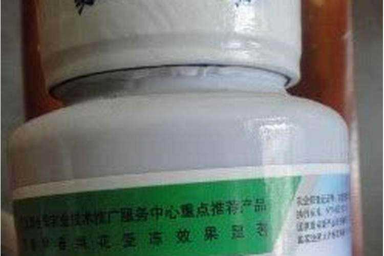 芸豆的根系发红,干枯,叶子发黄,是什么病害啊？？？急急急急急急急急急...