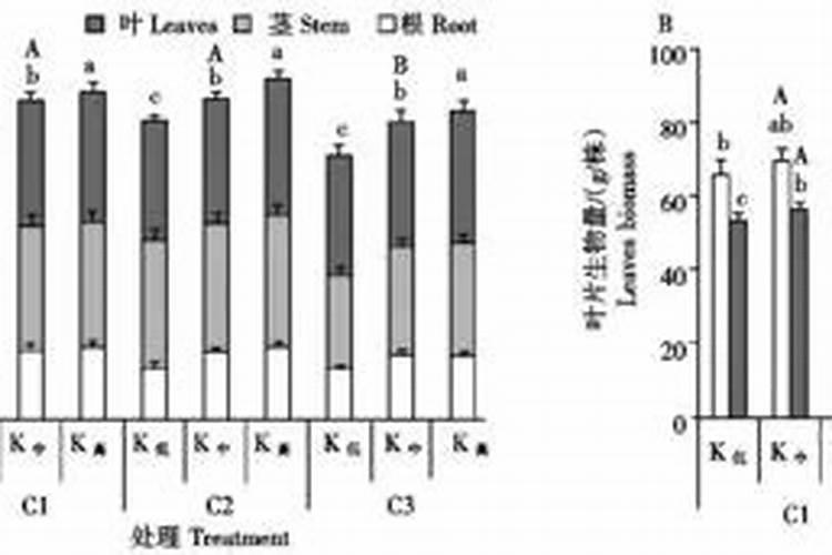 大黄钾对烤烟的作用