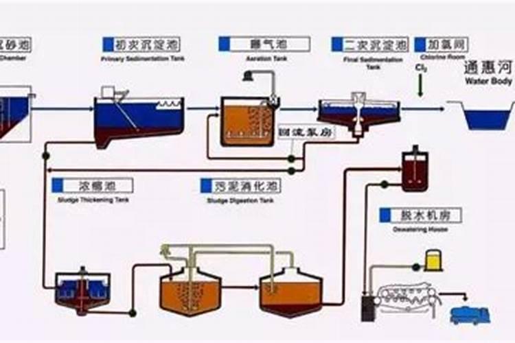 怎么去除鱼缸里的氨,为什么鱼缸有氨气味？