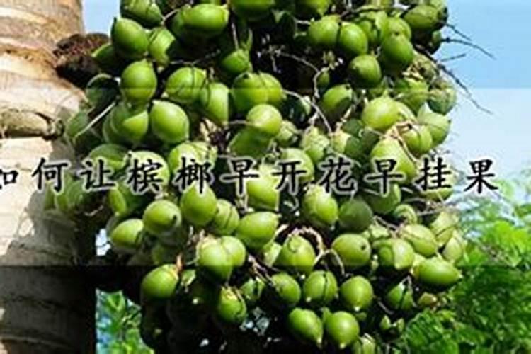 南方的种子能在北方种植吗？