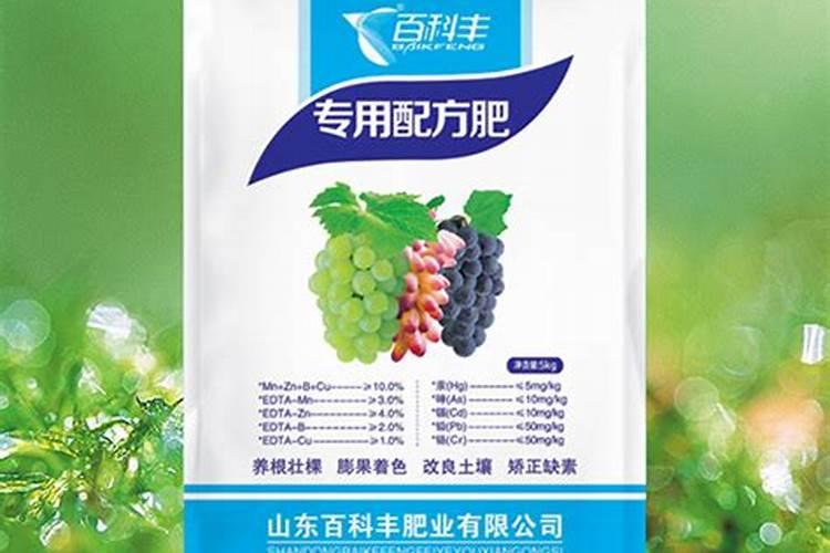 植物叶子发黄是缺什么肥