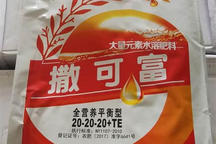 牡丹吊兰什么时候开花,可从春天开到秋天(七八月最盛)