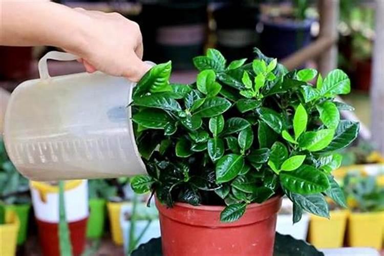 学生对三年级下册科学《观察》已有经验是什么