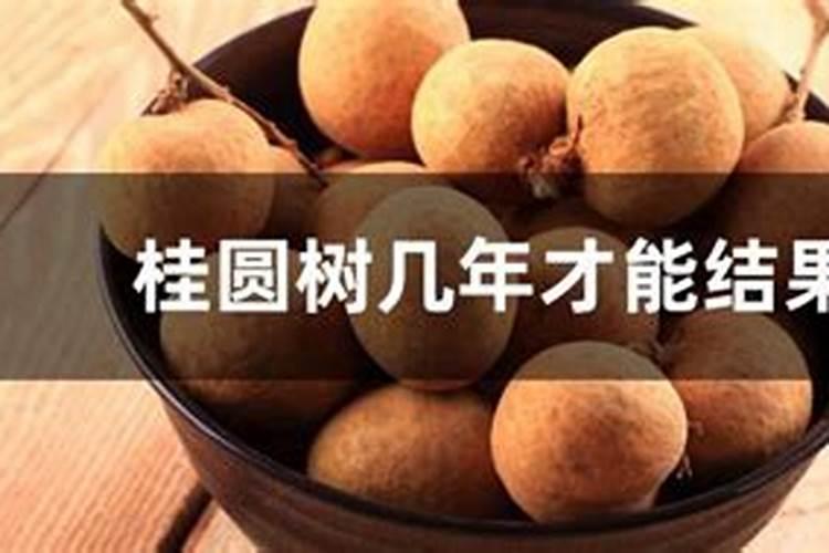 龙眼喜欢什么肥料？施肥时有哪些注意事项？