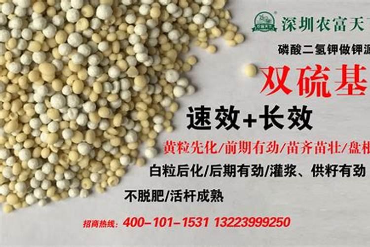 沙糖桔膨果用什么肥 如何施肥效果好