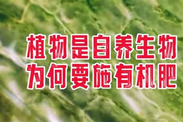 甘乐有机硅水溶肥的作用与功效