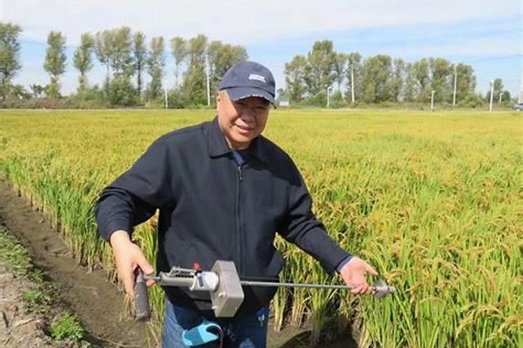 中国钾肥什么品牌好