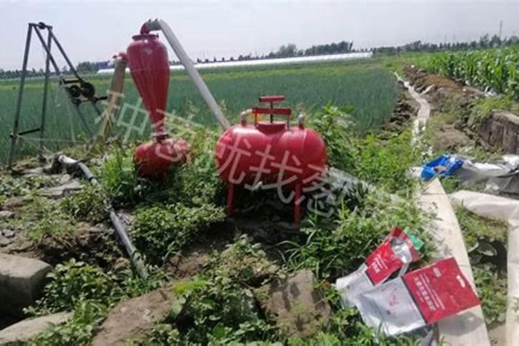 种菜用尿素还是复合肥