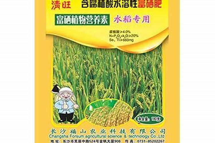 水培吊兰要不要施肥