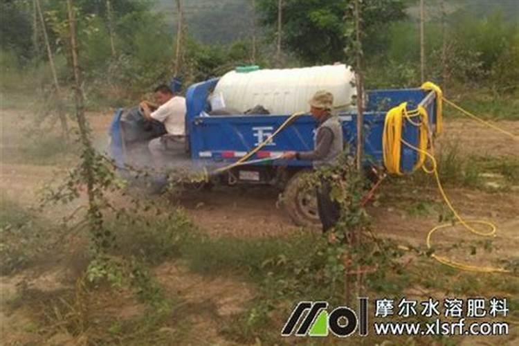 我的乳瓜怎么黄着尼