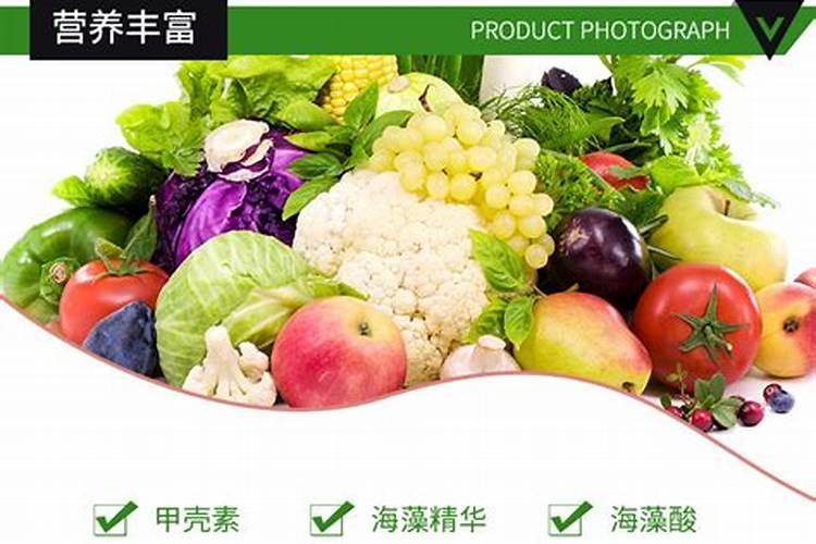 法师用什么肥料最好