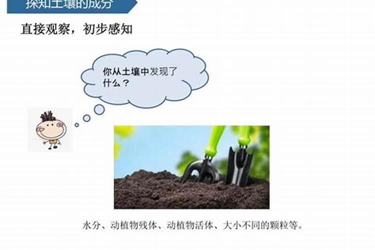 为什么长期施用化肥会导致土壤板结