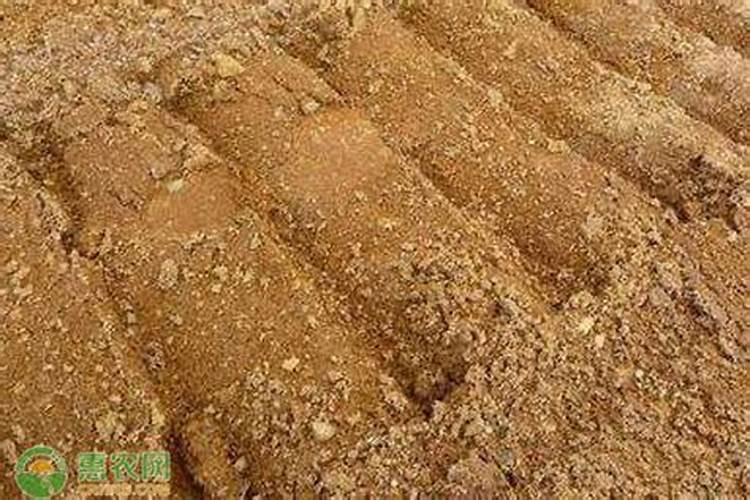 小番茄叶子黄了能用钾肥吗？