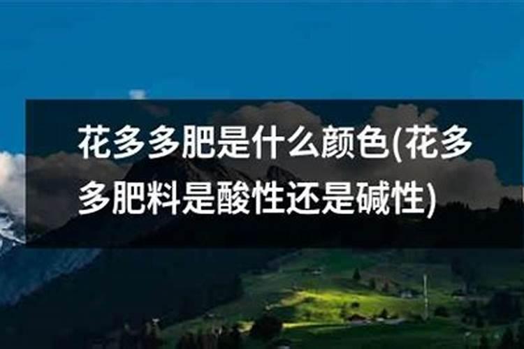 月季花新叶瘦小弯曲