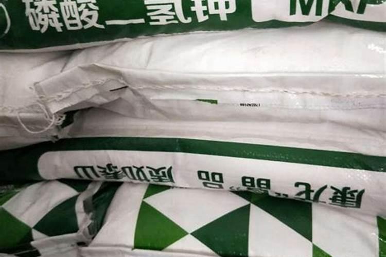 大豆怎样发酵做有机肥