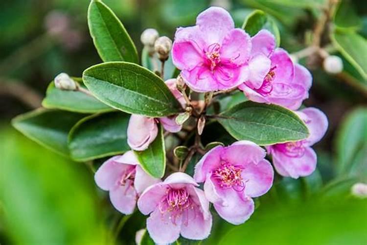 北方的碱性水怎么酸化