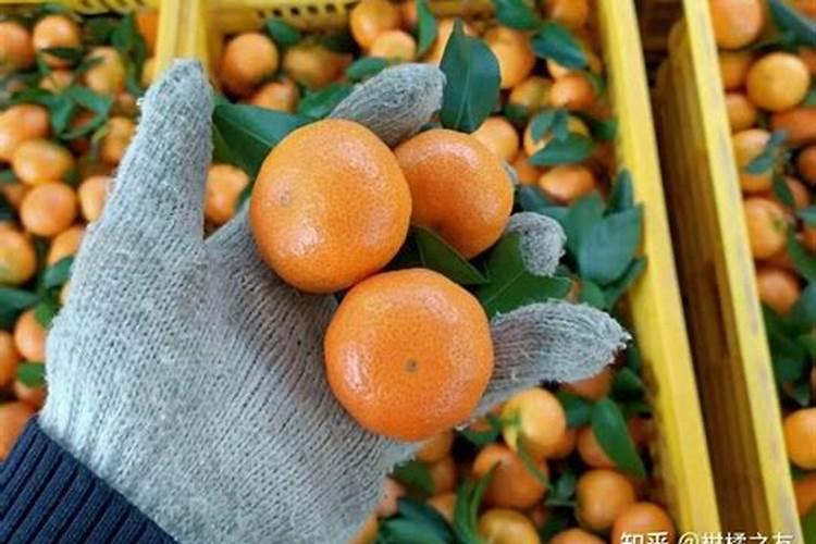 氮磷钾肥哪个牌子好