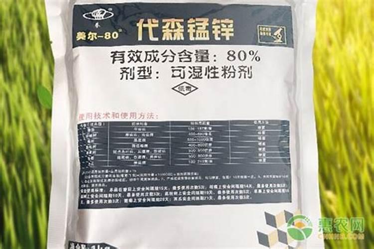 作物得了炭疽病喷杀菌剂加什么叶面肥好