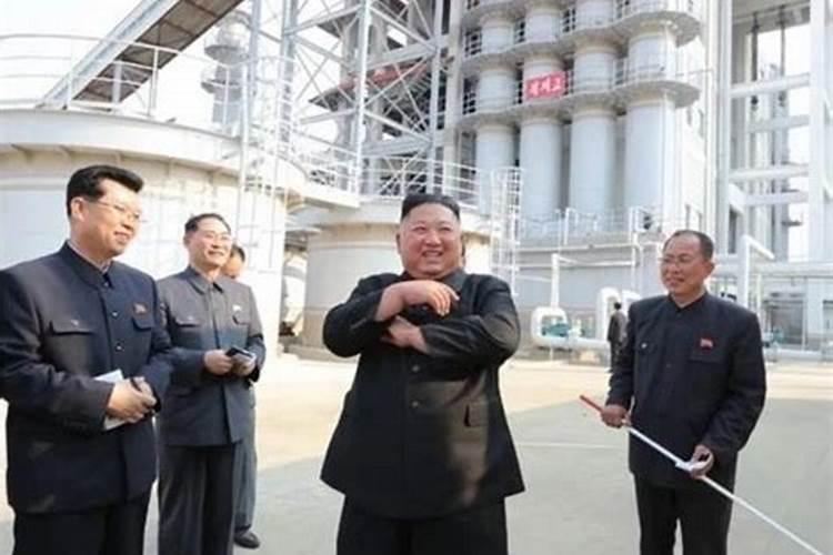 柑橘想要留树保鲜,该怎么操作？