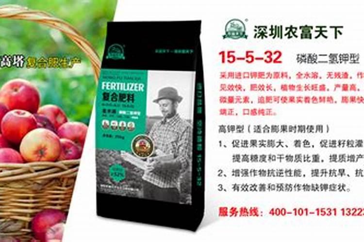 美丽竹芋的养殖方法