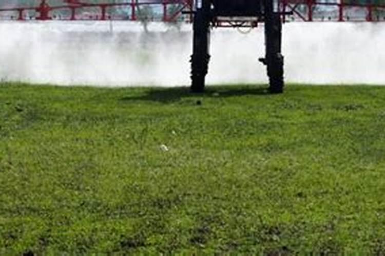 碧护使用注意事项