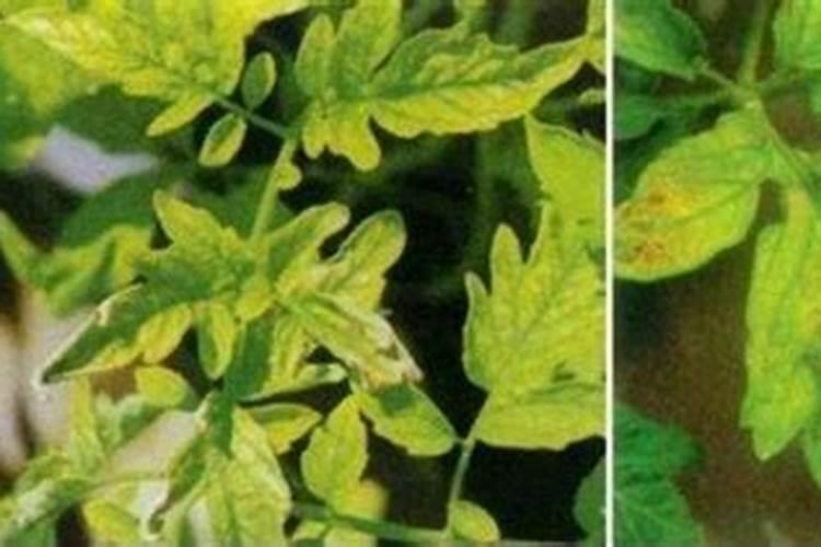 乙烯加水生成什么？化学方程式!!!