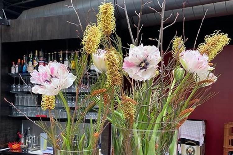 氮肥可以兑水浇花吗