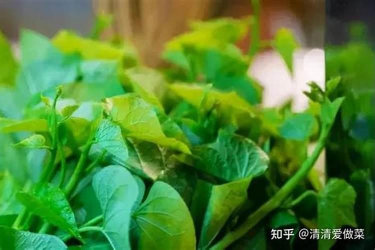 铵和氨有什么区别？