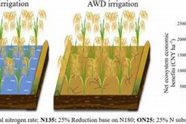 单质氮肥生产用登记吗