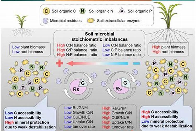 草坪需要施什么肥料好