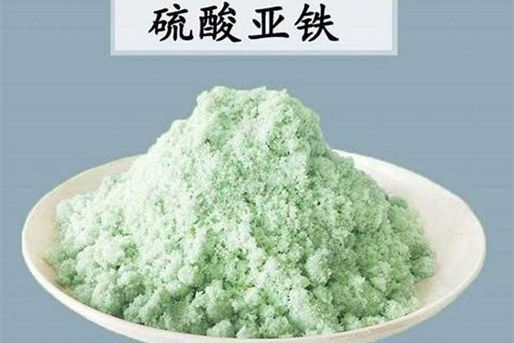 桔子树怎么养护和施肥