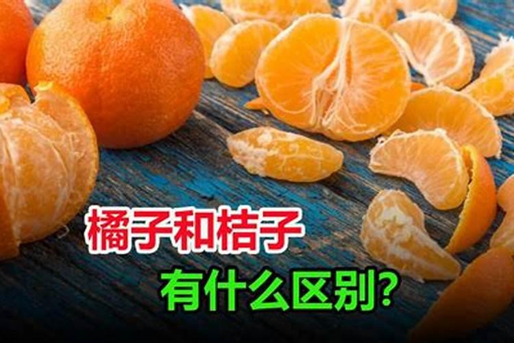 烂桔子可以做肥料吗？