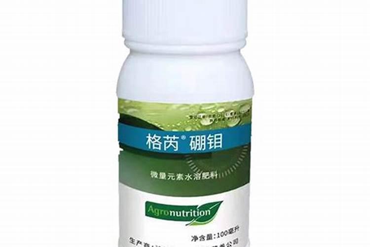 被外国科技界誉为“中国的阿格瑞柯拉”的古代科学家是谁？