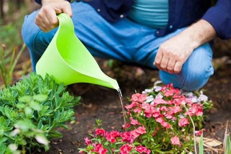 尿素二铵钾肥能浇花吗