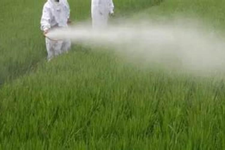 氮、磷、钾为什么称施肥三要素？