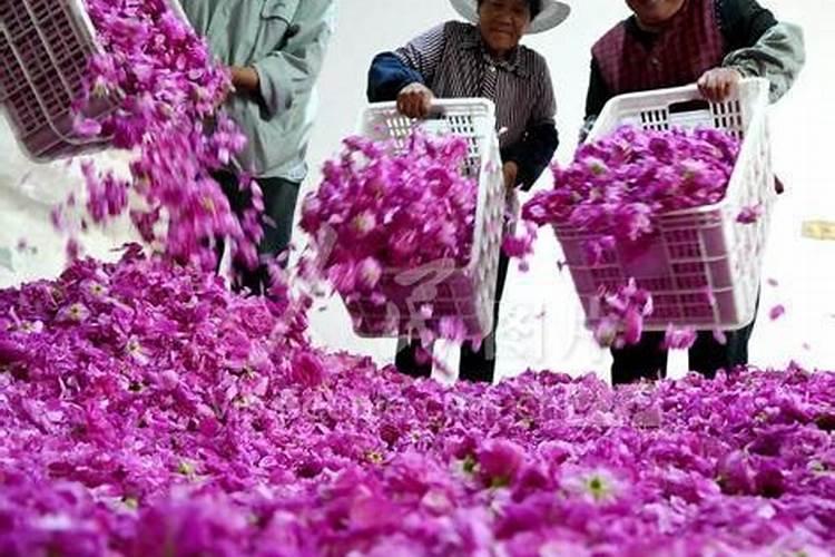 沂南大集美食推荐