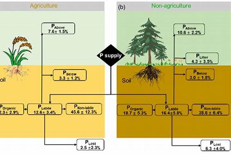 蔬菜的缺磷症是由哪些原因引起的？