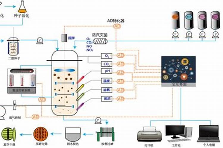 鱼蛋白发酵配方