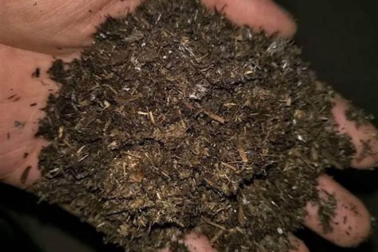 番茄如何施底肥