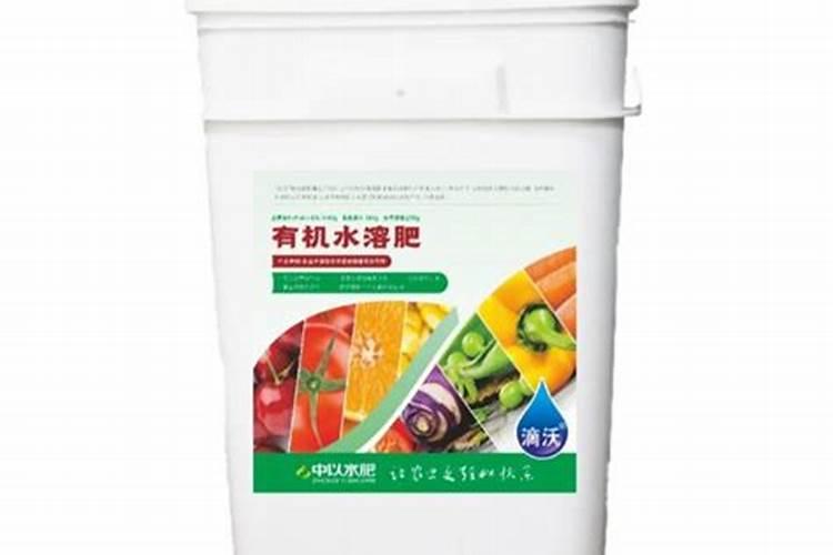 四季青草坪冬天要施肥吗