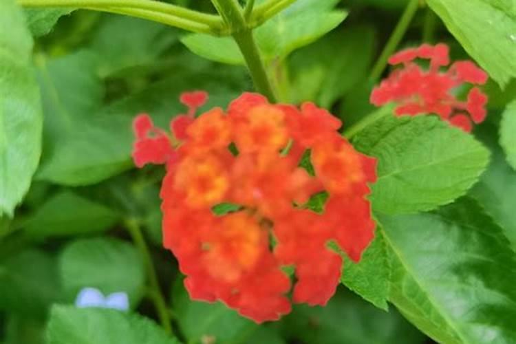 果树施肥时间和方法