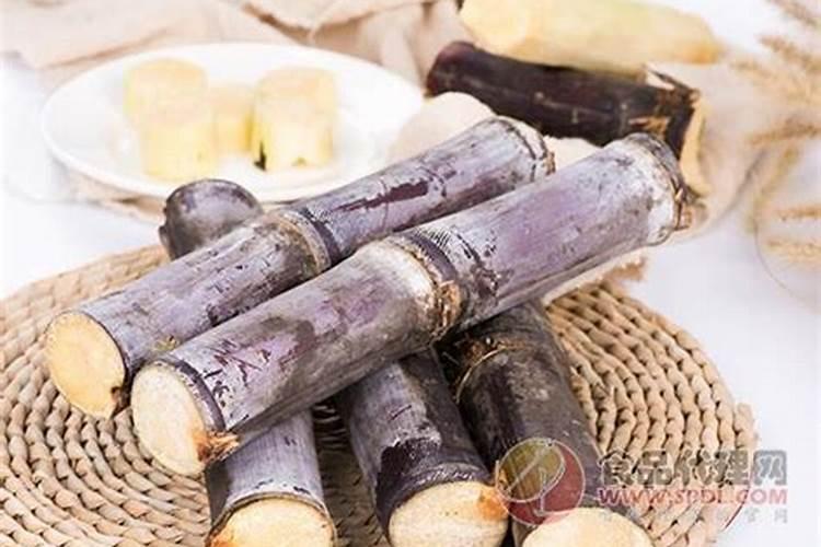 甘蔗需要在什么时间阶段,施肥是最好的时候？